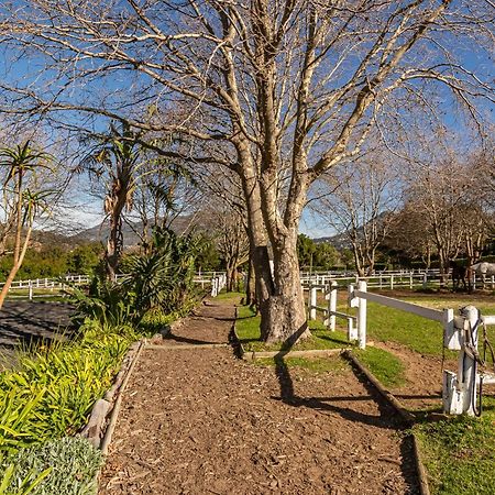 Ryedale Cottage Hout Bay Esterno foto