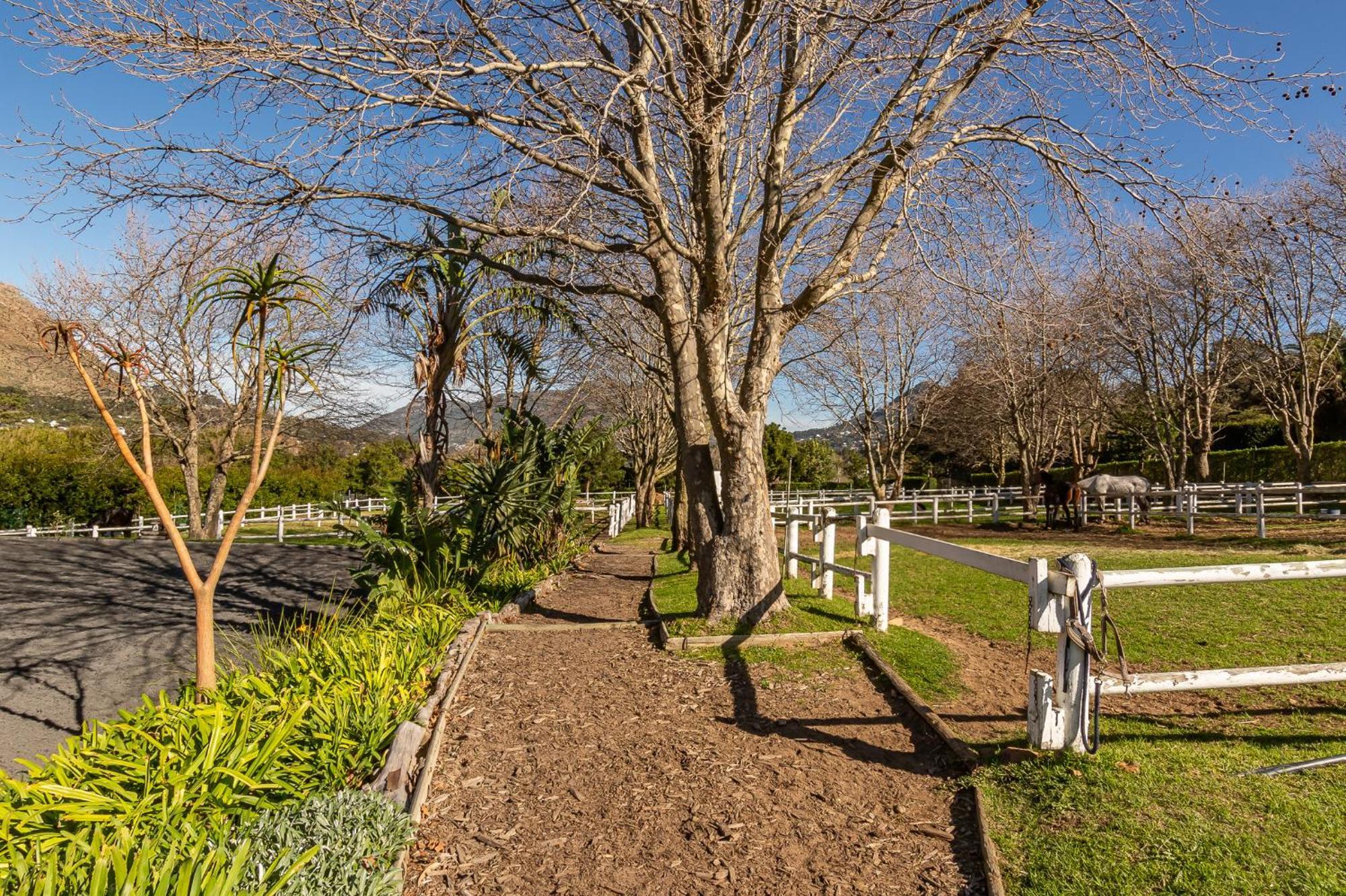 Ryedale Cottage Hout Bay Esterno foto