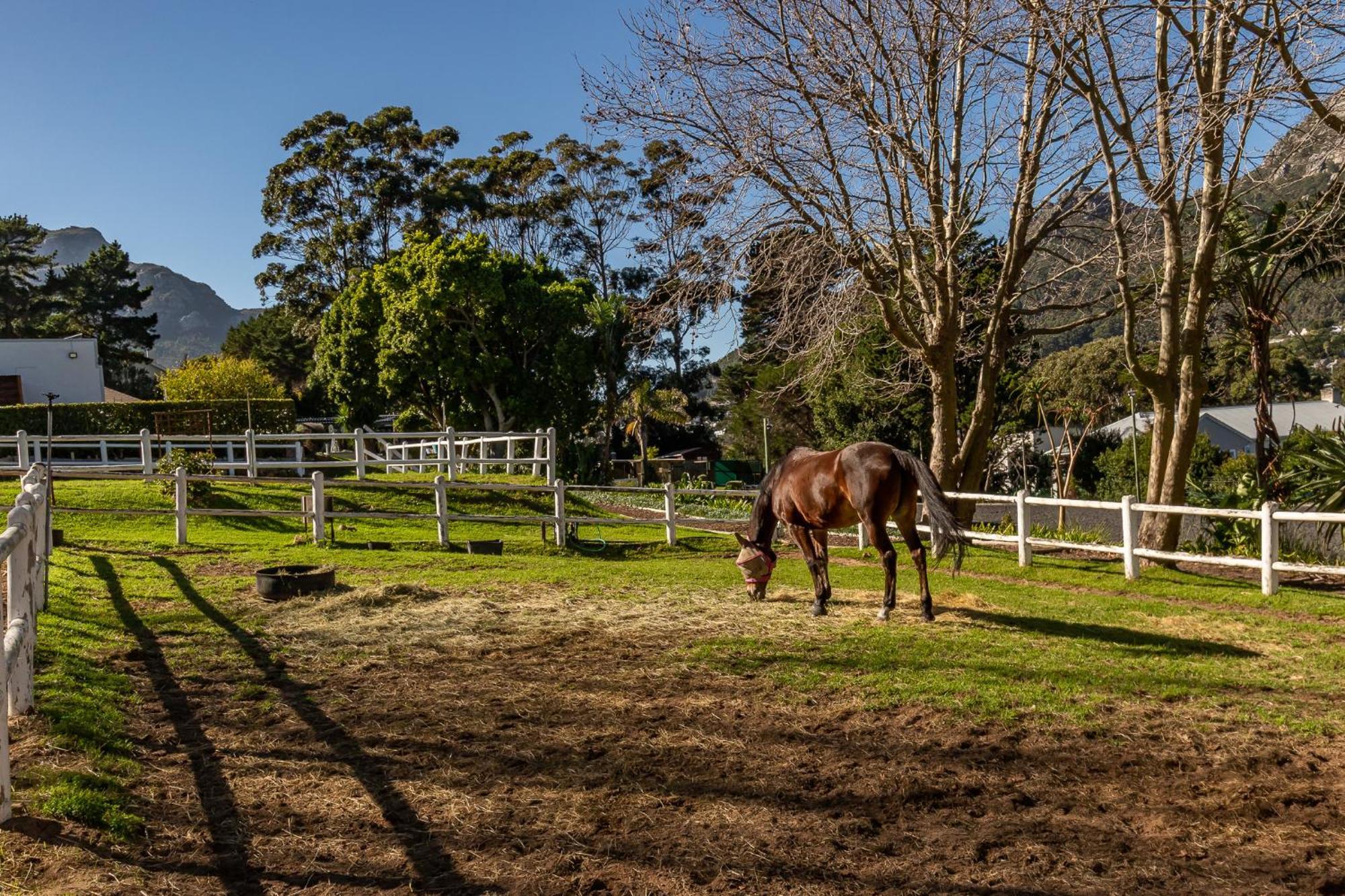 Ryedale Cottage Hout Bay Esterno foto